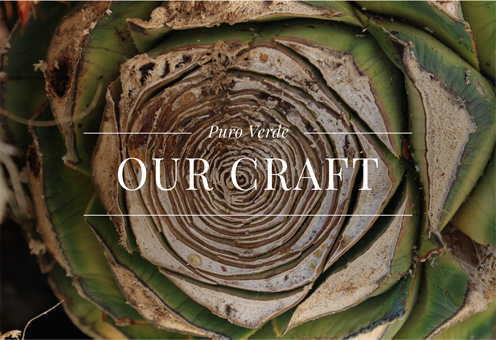 Puro Verde Tequila - Explore Our Craft
